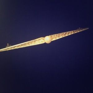 Deco Brooch circa 1920’s